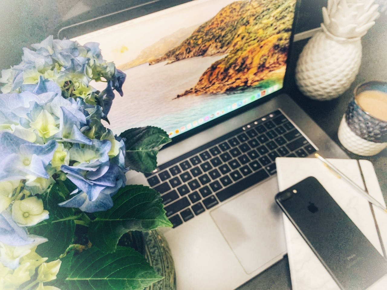 8988e91a-8fe3-44ef-a307-a8fa5e959a02